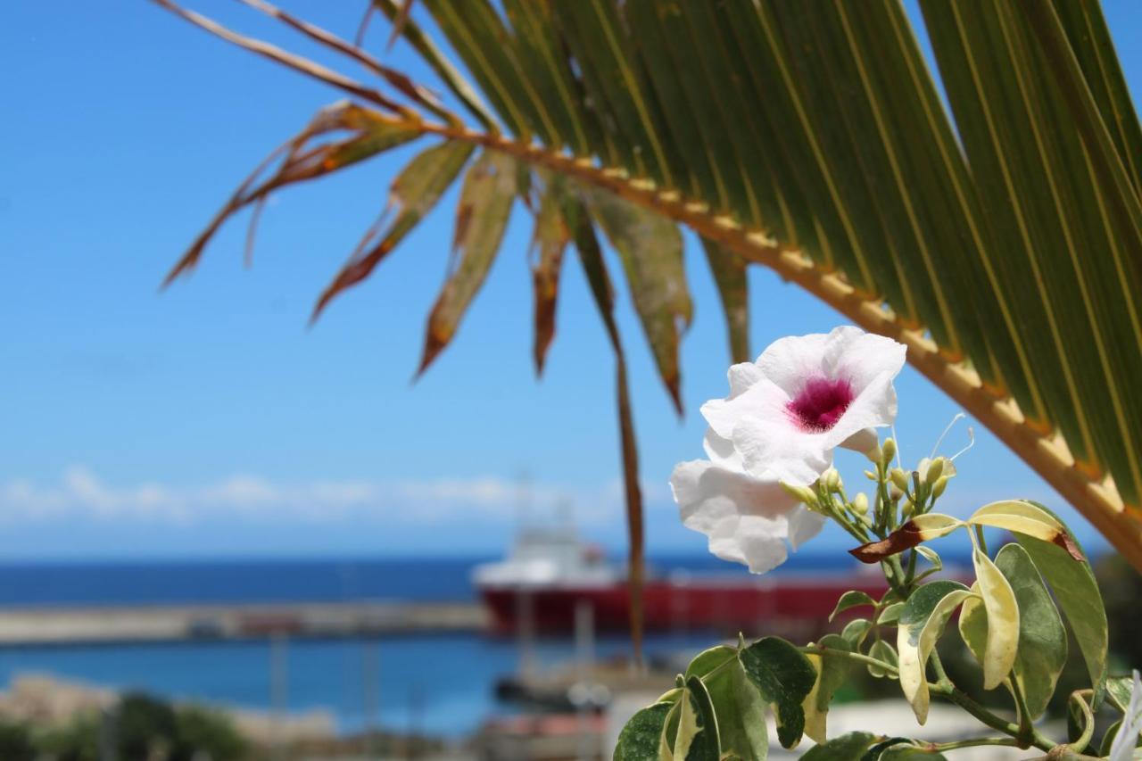 Terraza Del Atlantico, Un Oasis En La Ciudad Lägenhet Santa Cruz de Tenerife Exteriör bild